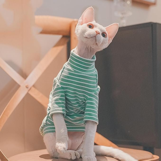 😻¡Esta es La mejor colección de Accesorios De Gato para Karen Desde tazas y remeras hasta collares.¡todo para los amantes de los mininos!. En 🐾-De Gato-🐾