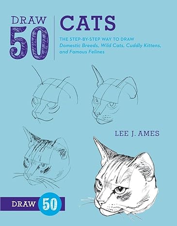 😻¡Esta es La mejor colección de Accesorios De Gato para Karen Desde tazas y remeras hasta collares.¡todo para los amantes de los mininos!. En 🐾-De Gato-🐾
